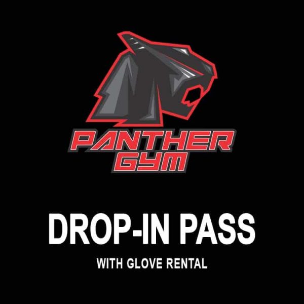 Drop-In Pass With Glove Rental